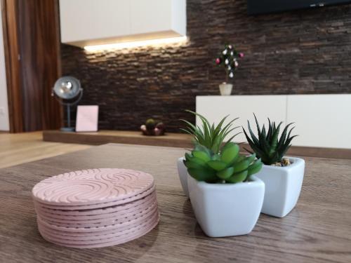 Romantic Chopok Juh Apartment 22