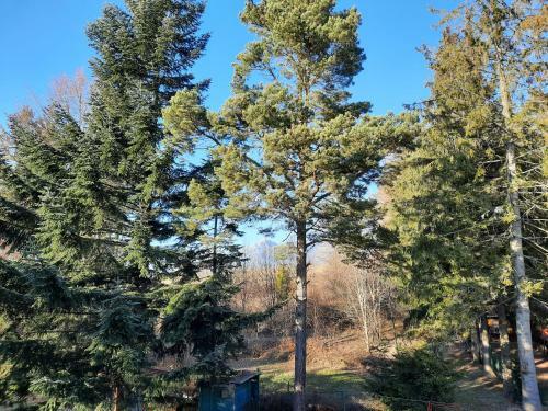 Vila Kamila