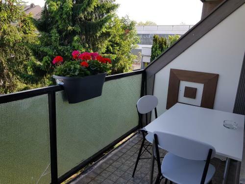 Apartamento Ferienunterkunft - Am Stadtgarten