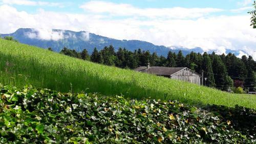Hostal Gasthof Hirschen