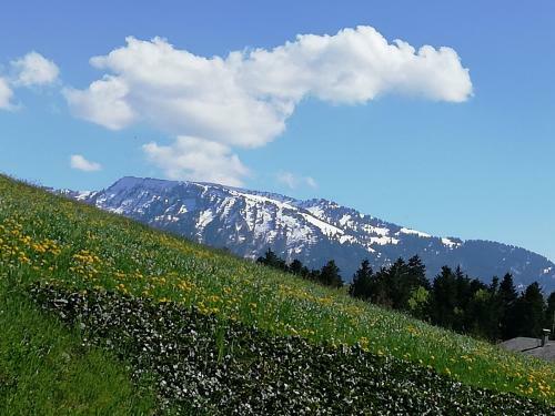 Hostal Gasthof Hirschen