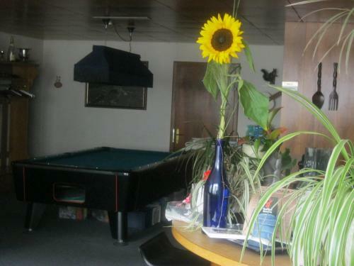 Hostal Gasthof Hirschen