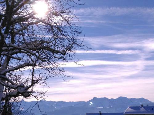 Hostal Gasthof Hirschen