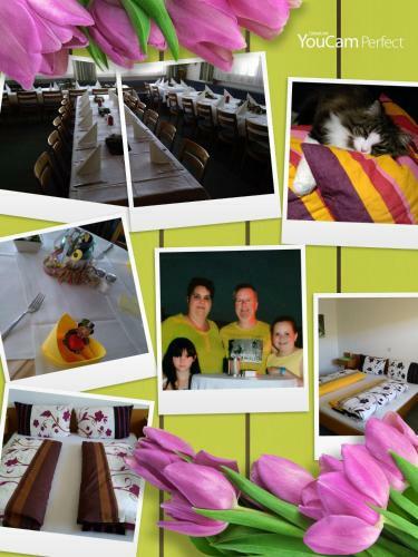 Hostal Gasthof Hirschen