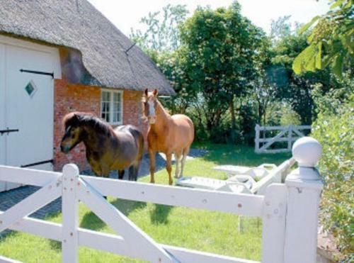 Agroturismo Friesenhof M�hlenwarft