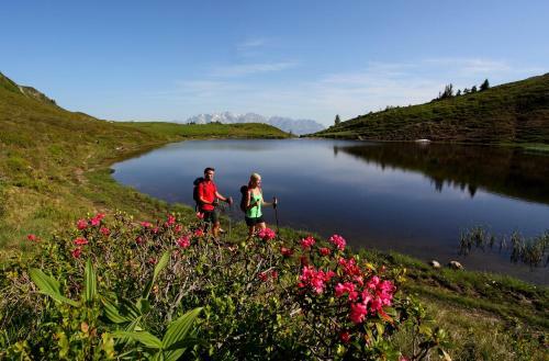 Landhotel Und Aparthotel Almr�sl