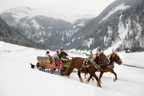Chalet Aichhorn