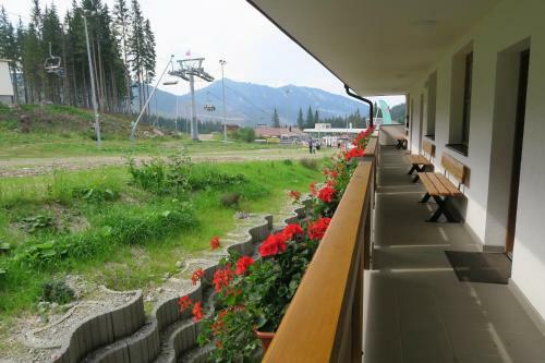 Apartmany Biela Put - Veverica