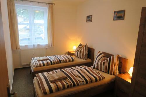 Apartmany Biela Put - Veverica