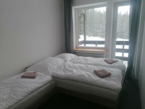 Albergue Dom Horskej Slu?by Jasna