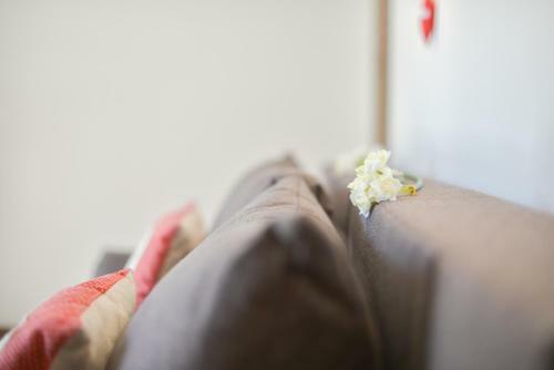 Apartman 11