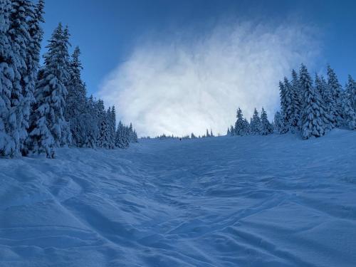 Lodge Challet Jasn� Exclusive ****