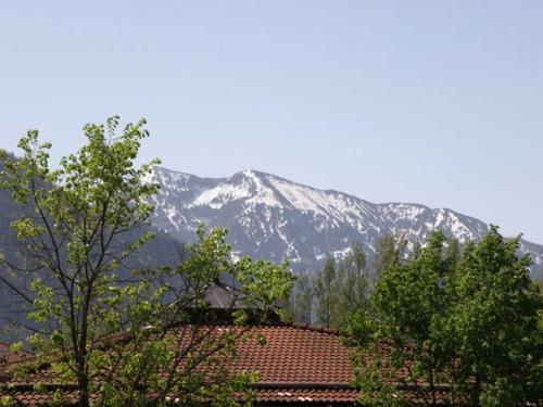 Apartamento G�stehaus Staller
