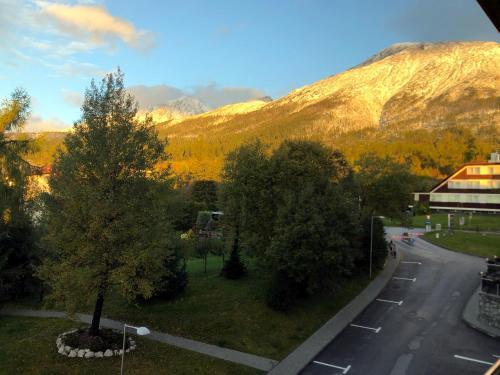 Apartman Lucid C207