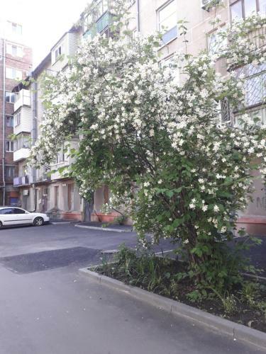 Apartamento ???????? ? ????, ? ??????? ??????????? ?? ???????????? ?????