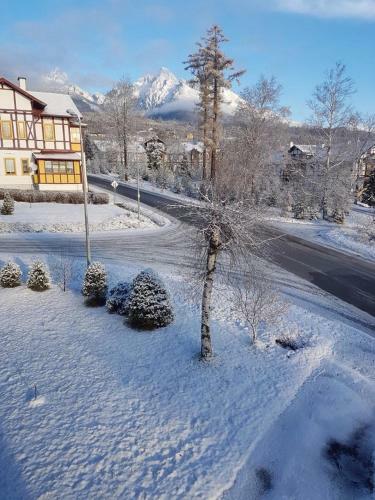 Vila Mudro? - Apartm�n ?tef�nik