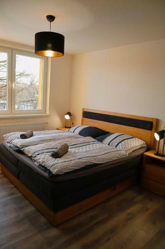 Apartm�n Lomnick� ?t�t