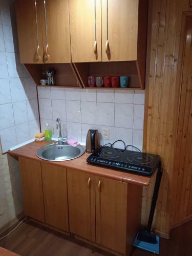Hostal Prykarpatska Villa