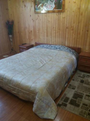 Hostal Prykarpatska Villa