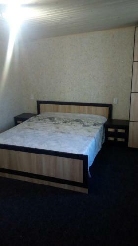 Hostal Prykarpatska Villa