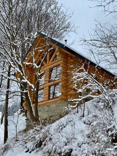 Chalet Pidstromom