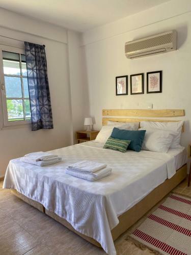 Villa Serendip - 4 Bed 2 Bath With Private Pool