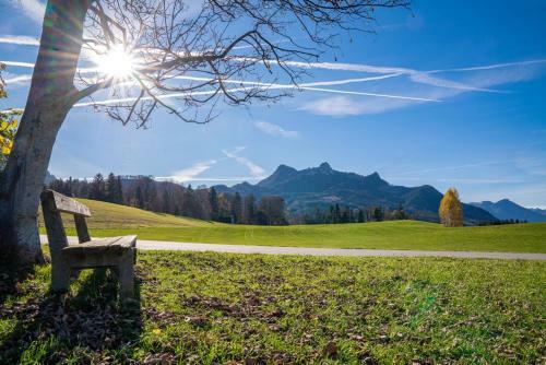 Alm-chalets-samerberg