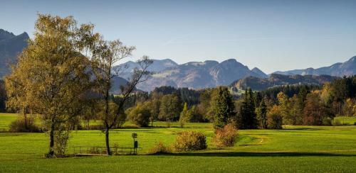 Alm-chalets-samerberg