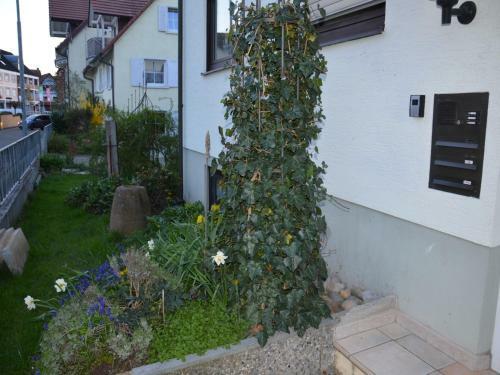 Apartamento Ferienwohnung Diana