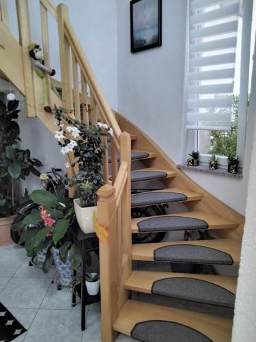 Apartamento Fewo Jehle Rust S�d