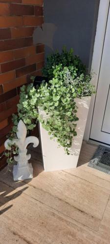 Apartamento Ferienwohnung Panoramablick-rh�n