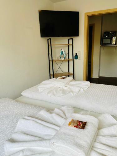 Family Apartments Maxim