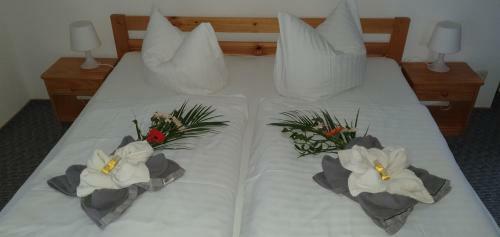Hostal Landpension Wendfeld