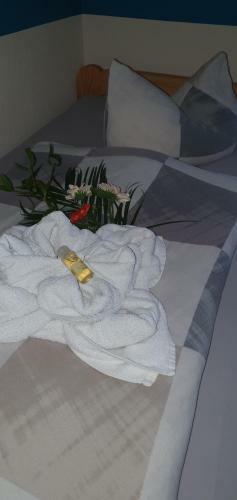 Hostal Landpension Wendfeld