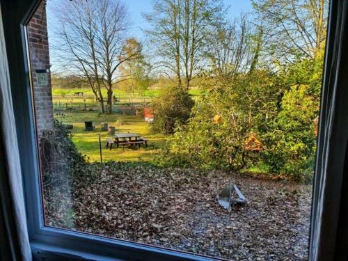 Traumhaftes Reetdachhaus Grote Eken In Der L�neburger Heide
