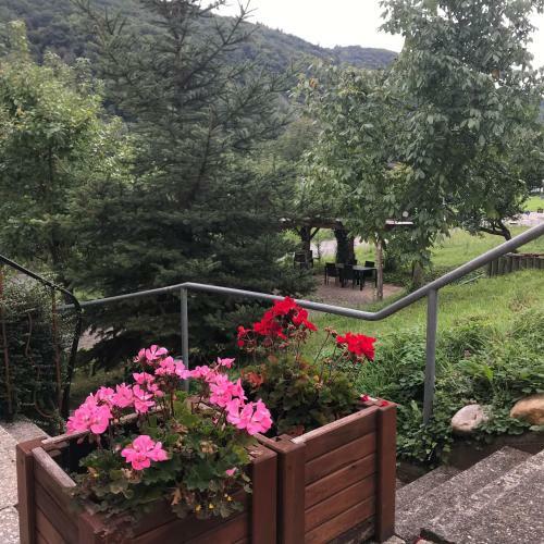 Apartamento Moselina Ferienwohnungen