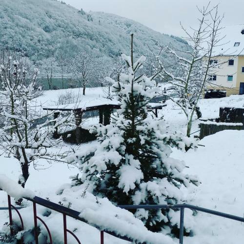 Bed & Breakfast Moselina G�stezimmer