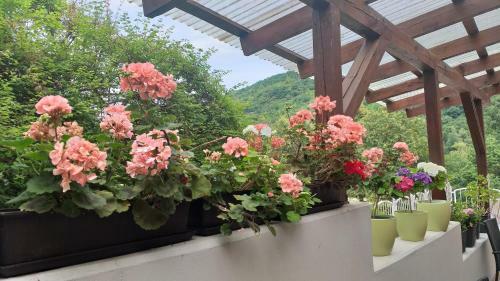 Bed & Breakfast Moselina G�stezimmer