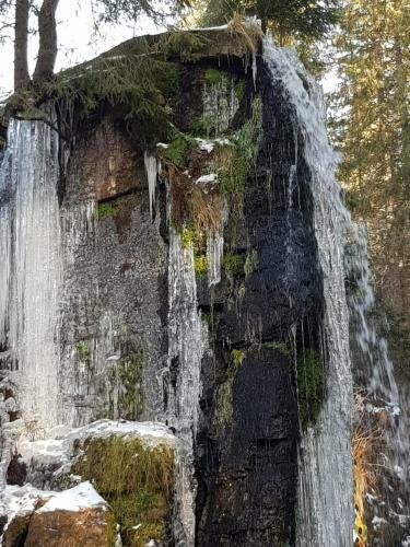 Apartamento Haus Am Scheibenfelsen