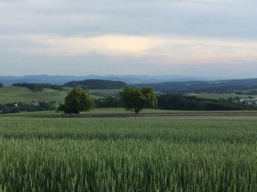 Bed & Breakfast G�stehaus Adler Albtal