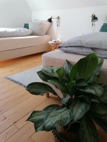 W�lder: Quartier Haus Im Gl�ck