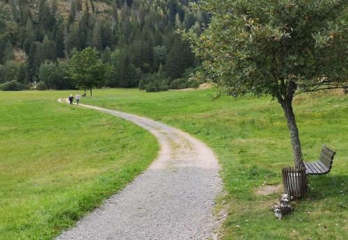 Apartamento Fewo C3 F�r Bis Zu 2 Personen