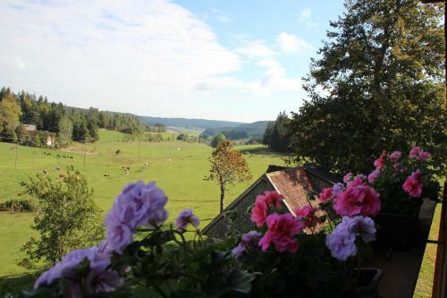 Apartamento Ferienbauernhof-holops