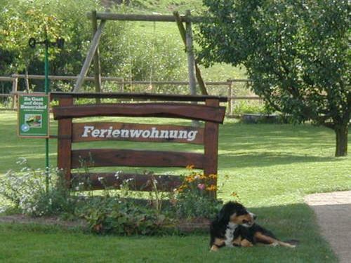 Apartamento Ferienwohnung Armbruster