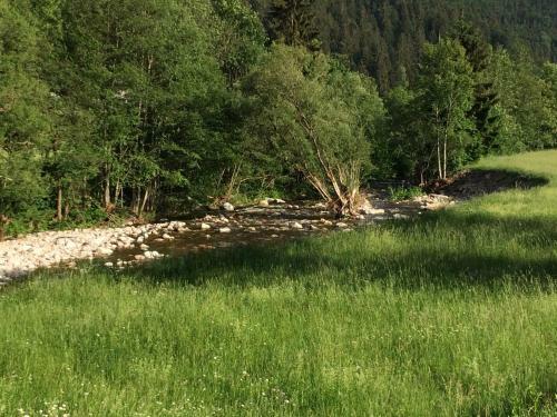 Apartamento Ferienwohnung Im G�stehaus Adler Albtal