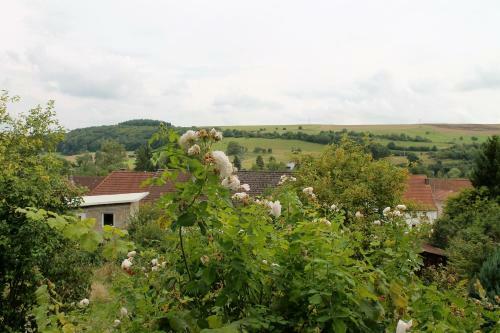 Apartamento Maison Mille Fleurs