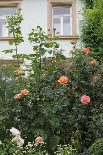 Apartamento Maison Mille Fleurs