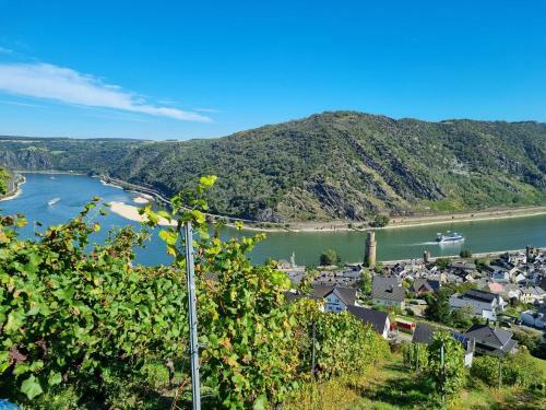 Apartamentos Fewo Loreley Sankt Goar