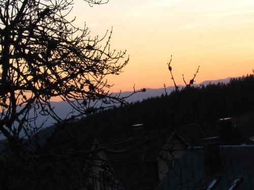 Apartamento Hirschenh�usle