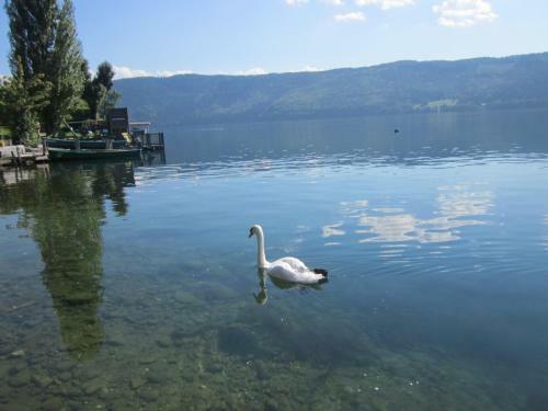 Apartamento Ferienwohnung Moser Am See